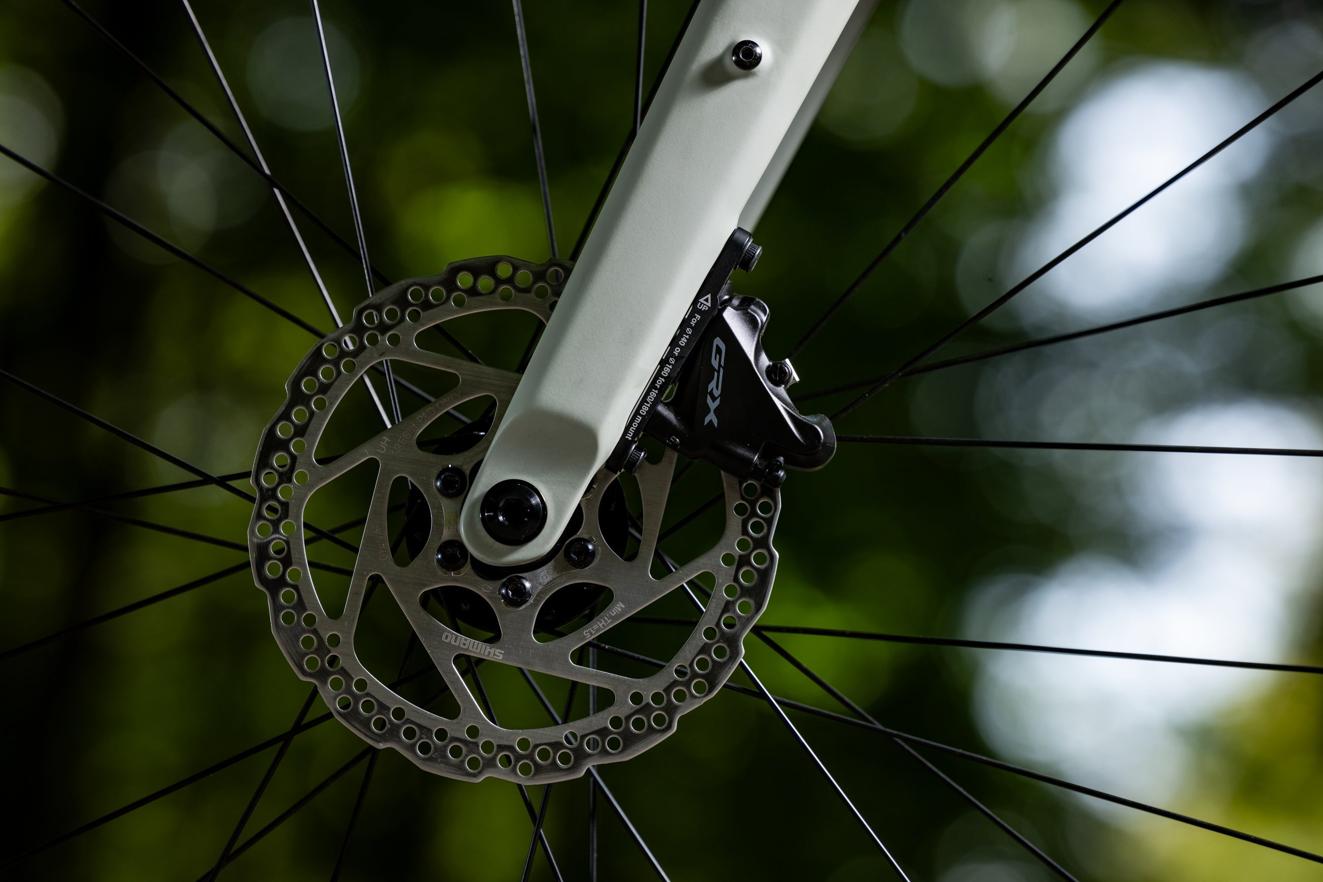 Devinci E-Hatchet Tour Mahle X30, disque de frein