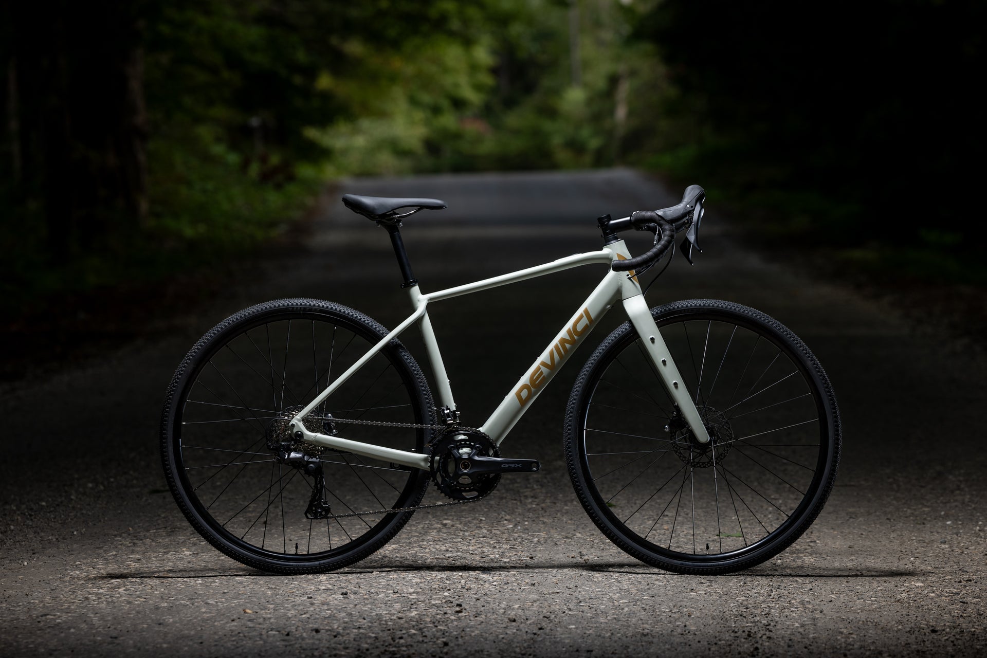 Devinci E-Hatchet Tour Mahle X30, vue d'ensemble