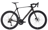 Sava Pulse R7 DB50, coloris Chocolate