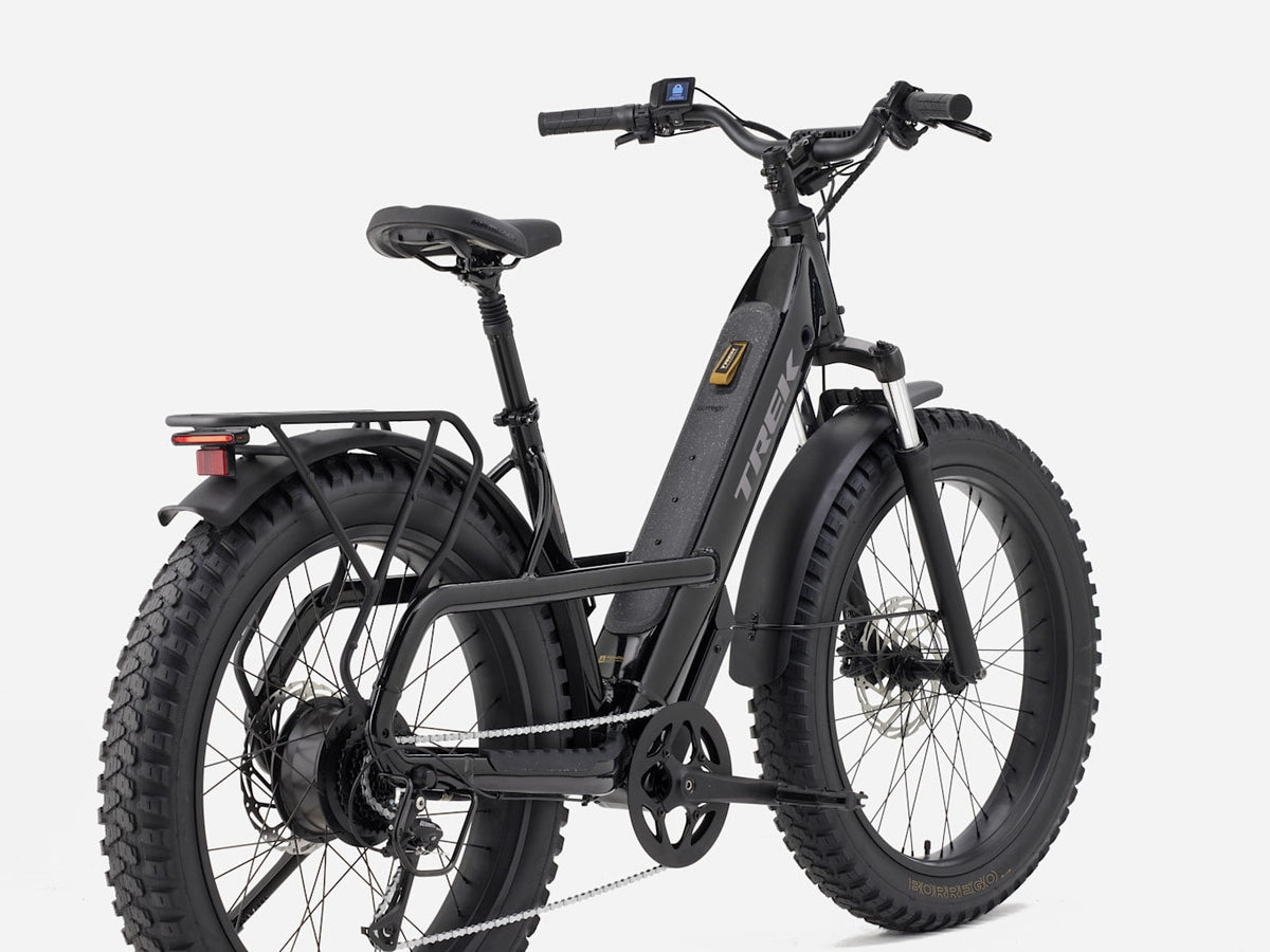 Fat bike électrique Trek Borrego+, Étoile Sombre Brillante, vue d'ensemble