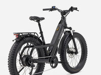 Fat bike électrique Trek Borrego+, Étoile Sombre Brillante, vue d'ensemble