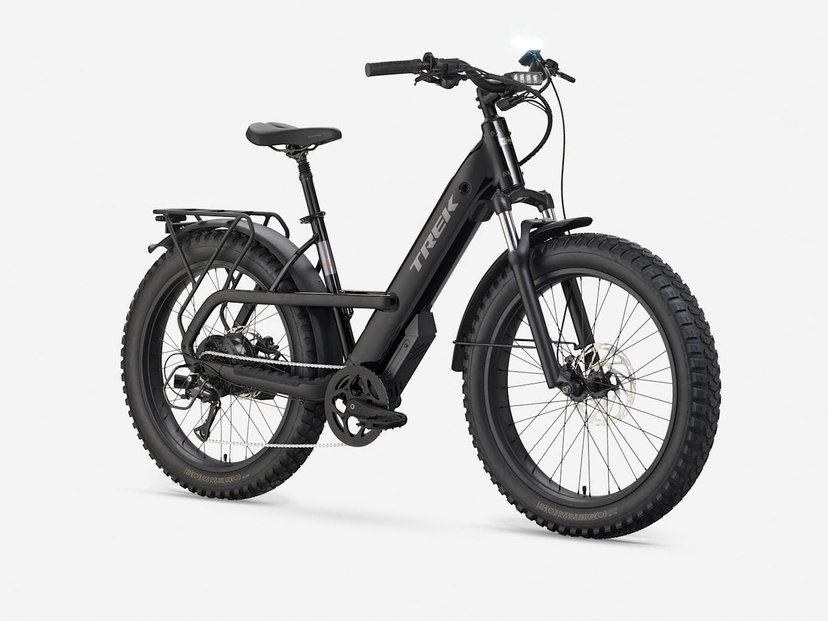 Fat bike électrique Trek Borrego+, Étoile Sombre Brillante, vue d'ensemble