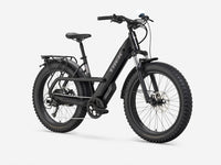 Fat bike électrique Trek Borrego+, Étoile Sombre Brillante, vue d'ensemble