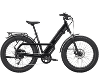 Fat bike électrique Trek Borrego+, Étoile Sombre Brillante, vue d'ensemble