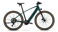 Trek FX + 1 Stepover, coloris Juniper