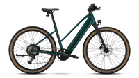 Trek FX + 1 Midstep, coloris Juniper