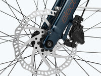 Trek Townie Go !, produit