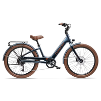 Trek Townie Go !, variante de couleur