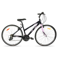 Vélo AVP HC2000 - 21 vitesses 2023, vue d'ensemble