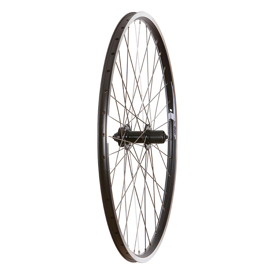 Wheel Shop Trekking - 700C - Evo Tour 19 Noir/Stainless, roue arrière