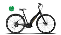 Devinci E-Griffin 9s, coloris Goldland